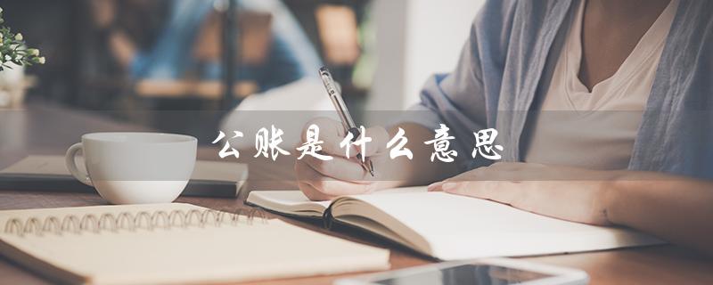 公账是什么意思（公司公账是什么）