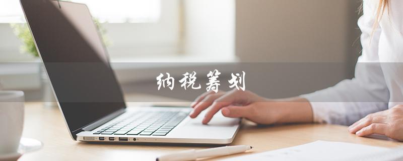 纳税筹划（纳税筹划案例是什么）