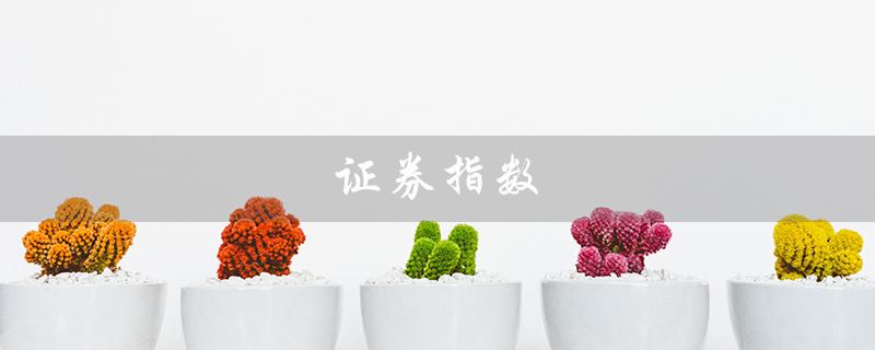 证券指数（证券指数是什么）