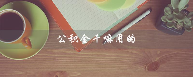 公积金干嘛用的（公积金怎么使用）