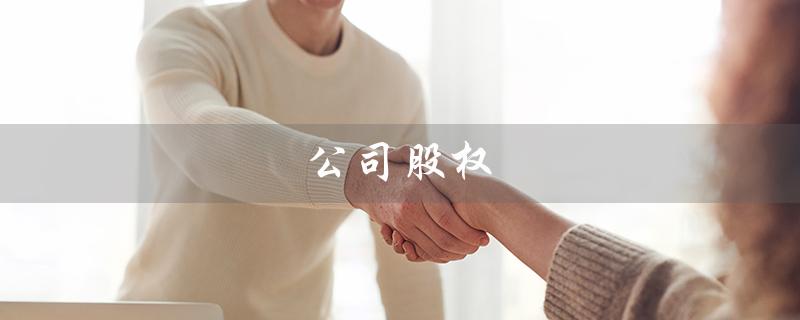 公司股权（公司股权转让是什么）