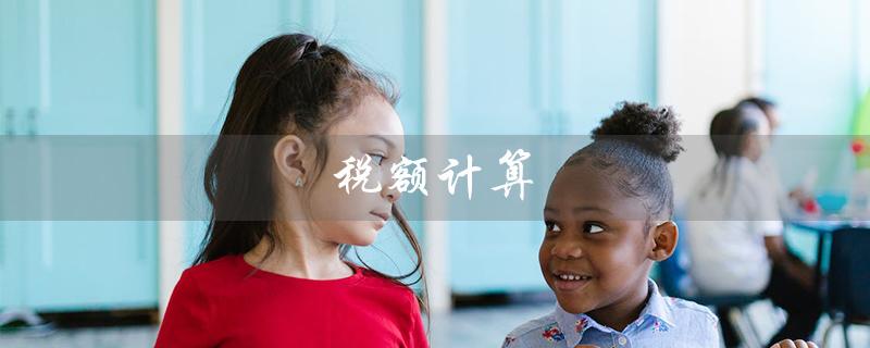 税额计算（如何使用税额计算器）