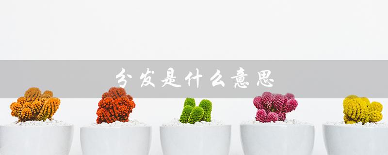 分发是什么意思（抖音分发是啥）