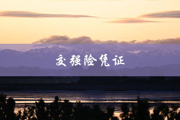 交强险凭证（交强险凭证号查保单号）