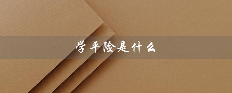 学平险是什么（学平险是什么）