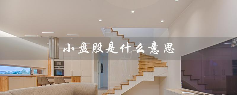 小盘股是什么意思（大盘股和小盘股的区别）