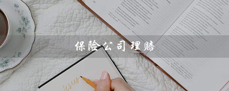 保险公司理赔（保险理赔争议怎么办）