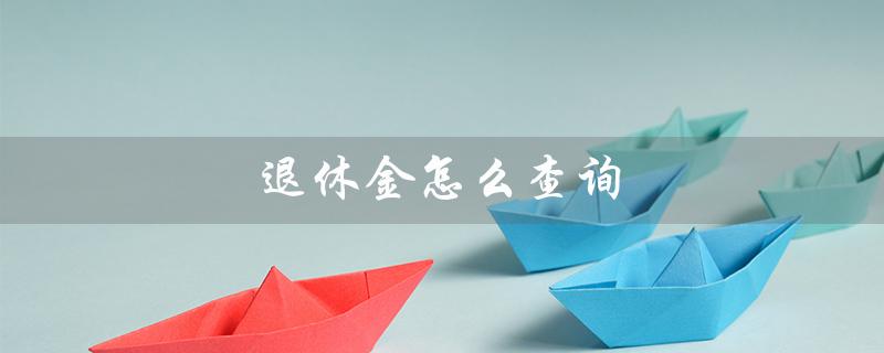 退休金怎么查询（如何查询个人退休金账户）