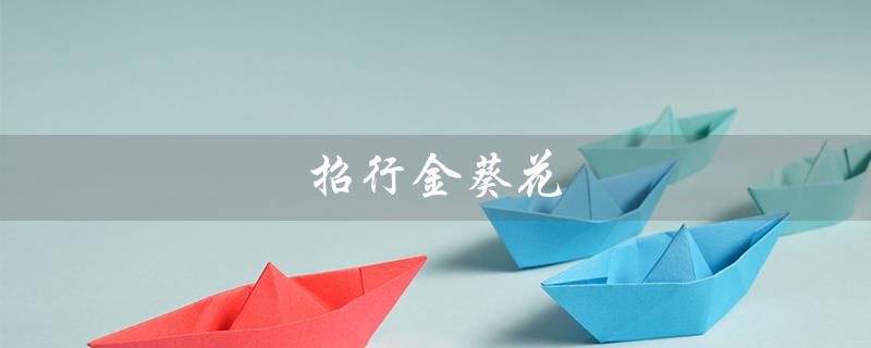 招行金葵花（招行金葵花卡条件是什么）