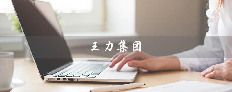 王力集团（王力集团是什么）