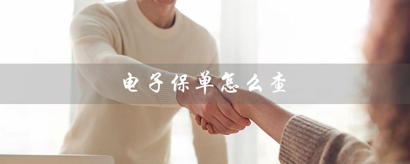 电子保单怎么查（车险电子保单如何查询）