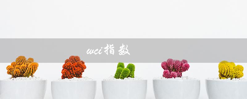 wci指数（WCI指数怎么查）