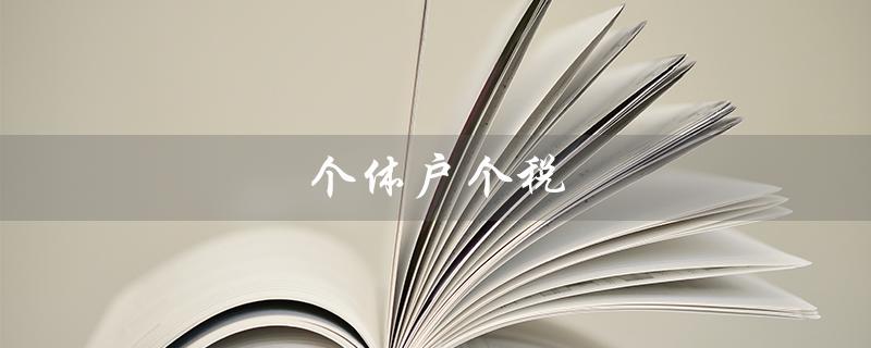 个体户个税（个体户减免个税政策是什么）