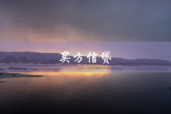 买方信贷（什么是买方信贷）