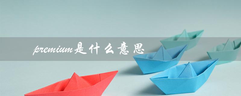 premium是什么意思（鞋子premium含义是什么）