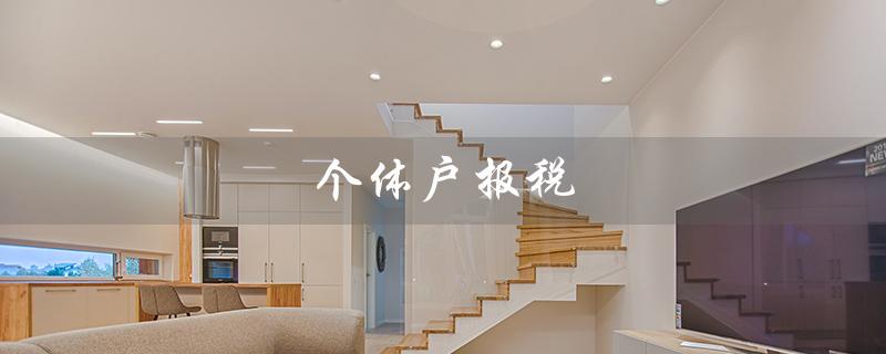 个体户报税（个体户网上报税流程是什么）