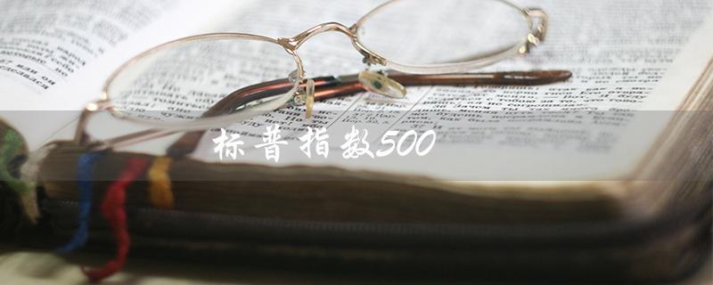 标普指数500（标普500期货是什么）