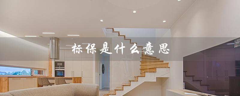 标保是什么意思（个人标保的含义是什么）