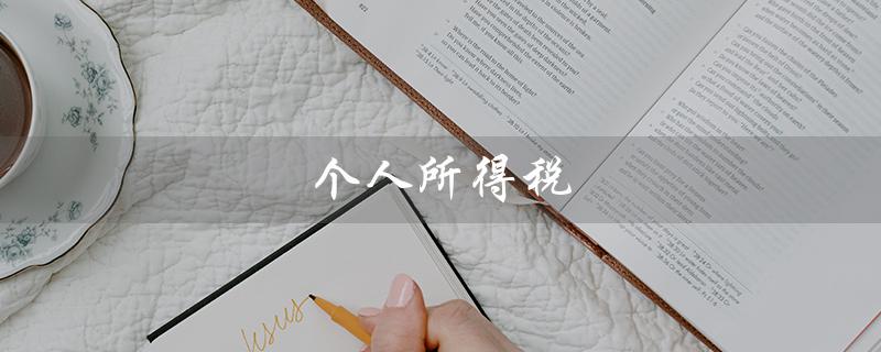 个人所得税（个税app下载）