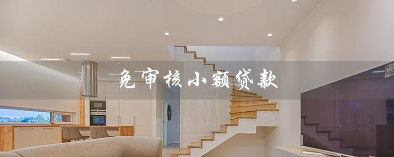 免审核小额贷款（免审核小额贷款平台）