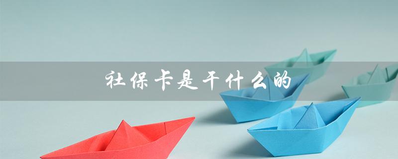 社保卡是干什么的（社保卡与医保卡有何不同）