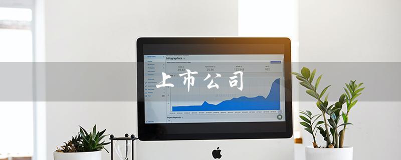 上市公司（上市公司查询网站是什么）