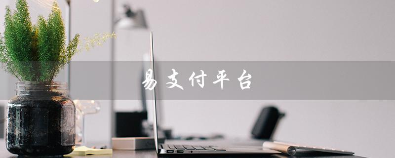 易支付平台（易支付平台官网是什么）