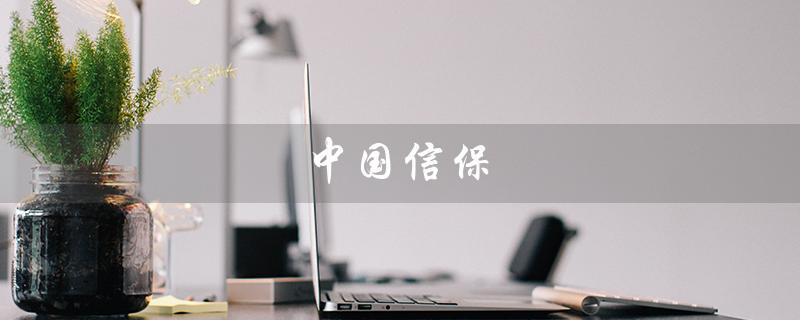 中国信保（中国信保属于央企吗）