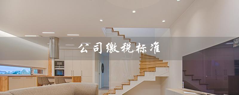 公司缴税标准（香港公司缴税标准是什么）