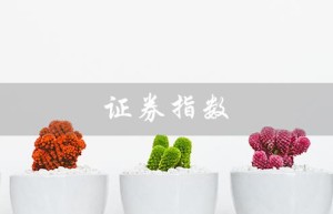 证券指数（证券指数是什么）