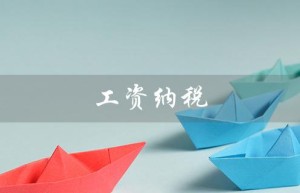 工资纳税（2023年工资纳税标准是什么）