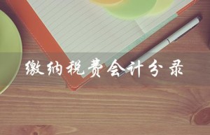 缴纳税费会计分录（银行缴纳税费的会计分录是什么）