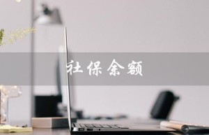 社保余额（个人社保账户余额查询）