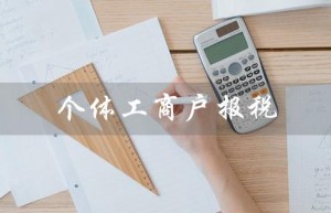 个体工商户报税（个体工商户网上报税流程是什么）