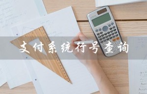 支付系统行号查询（建行支付行号查询）