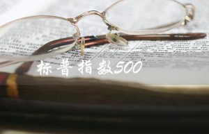 标普指数500（标普500期货是什么）