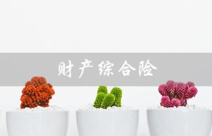 财产综合险（财产综一切险的区别）