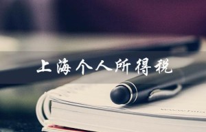 上海个人所得税（上海个税app在哪下）