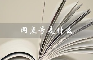 网点号是什么（银行网点号是什么）