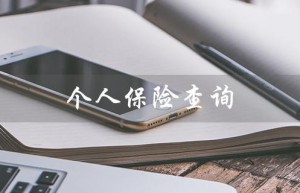 个人保险查询（个人保险如何查询）