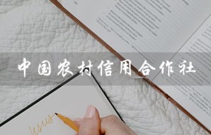 中国农村信用合作社（中国农村信用合作社app是什么）