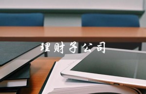 理财子公司（理财子公司排名是什么）