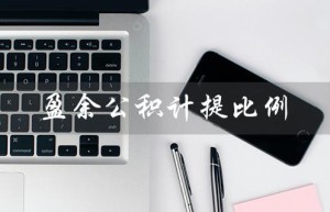 盈余公积计提比例（盈余公积必须提10%）