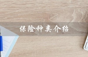 保险种类介绍（新华保险有哪些种类）