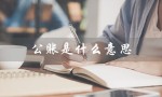 公账是什么意思（公司公账是什么）