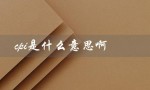 cpi是什么意思啊（CPI计算机组成原理是什么）