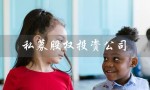 私募股权投资公司（天瑞丰年是什么公司）