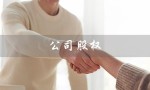 公司股权（公司股权转让是什么）