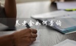 养老金如何查询（如何查询个人养老金账户）