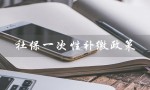 社保一次性补缴政策（农村户口社保一次性补缴政策是什么）